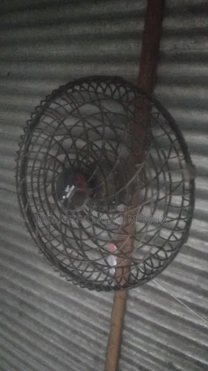 Walton Net Fan