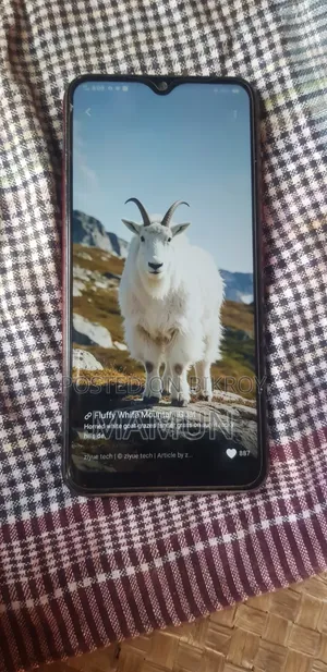 Vivo Y11 32 GB Red