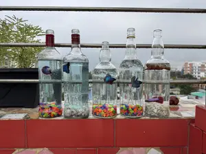 বেটা ফিশ সেটআপ