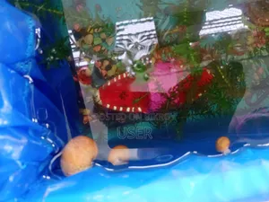 একুরিয়ামের শামুক বিক্রি করা হবে।