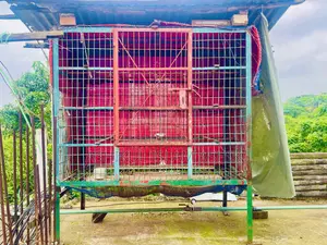 ধাপড়ি। নাট বল্টু সিস্টেম।