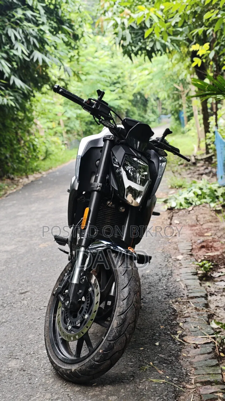 CFMoto 250NK 2025