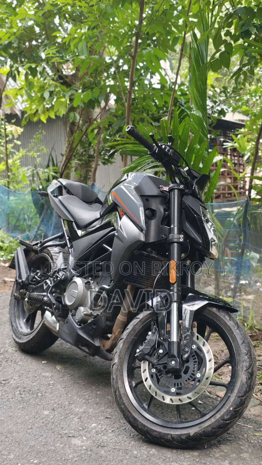 CFMoto 250NK 2025