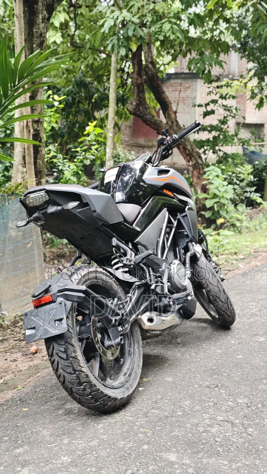 CFMoto 250NK 2025