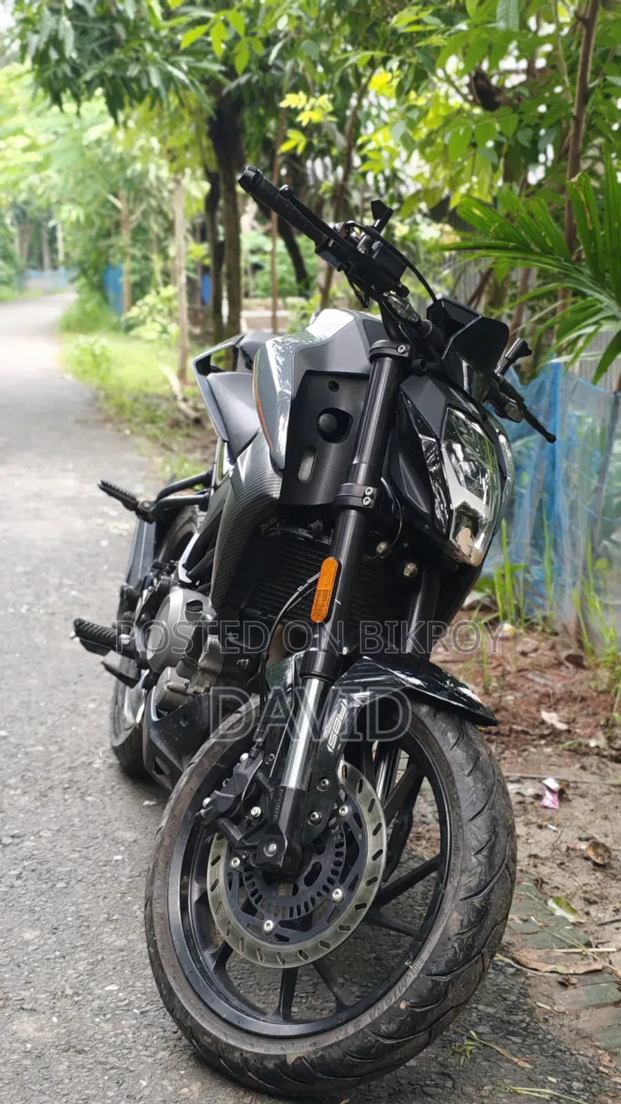 CFMoto 250NK 2025