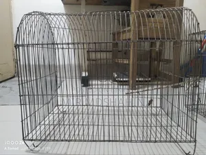 Bird, Chicken, and Pigeon Cage