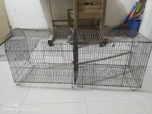 Bird, Chicken, and Pigeon Cage