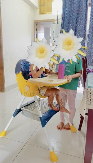 Feeding Chair