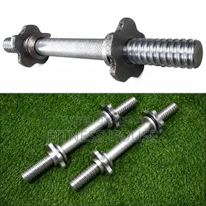12 Inch Dumbbell Bar Silver