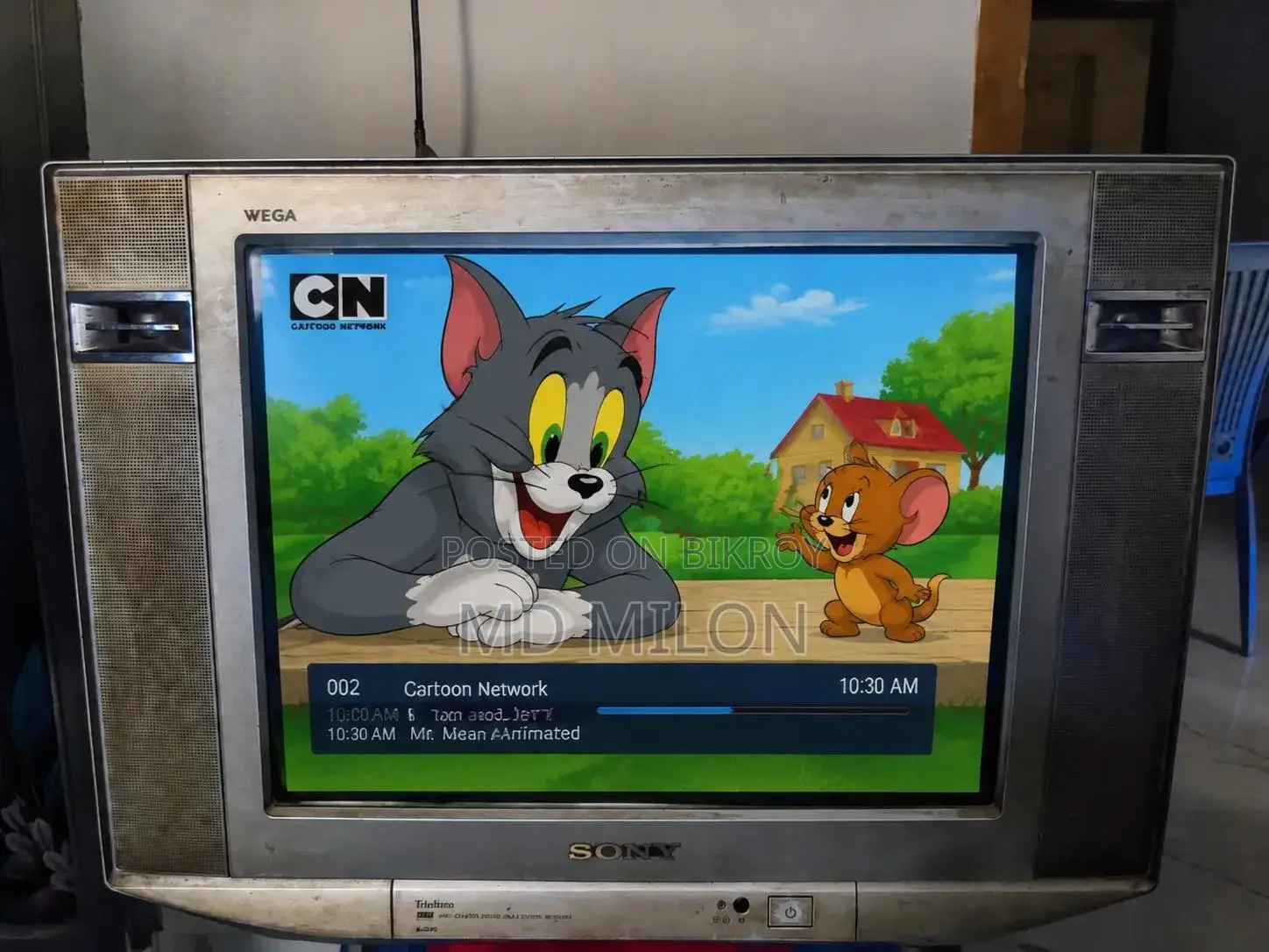 Sony WEGA Color TV