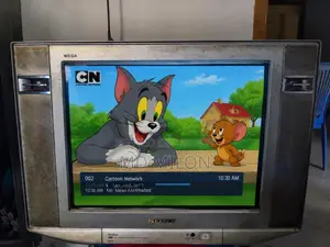Sony WEGA Color TV