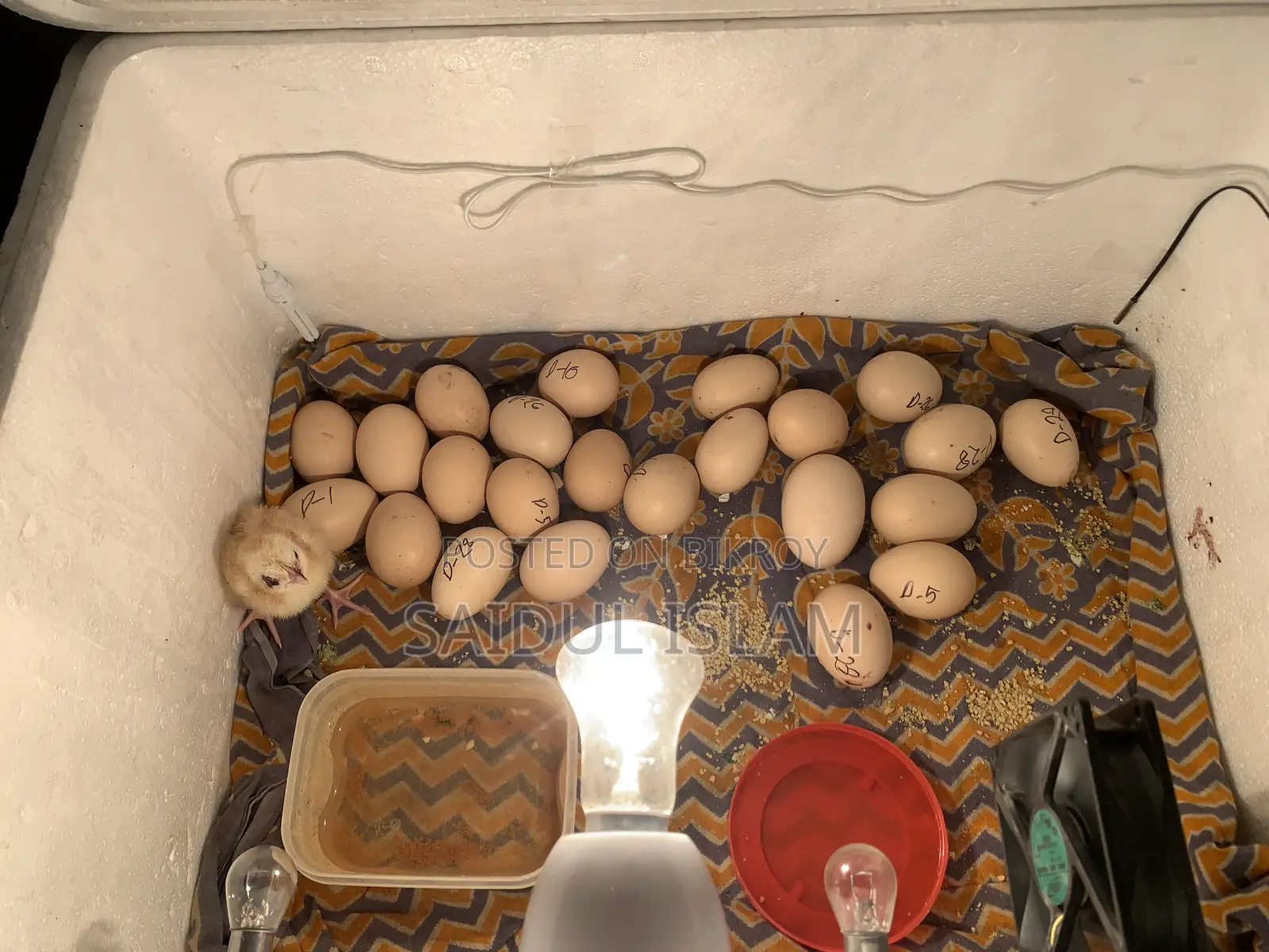Incubator Machine