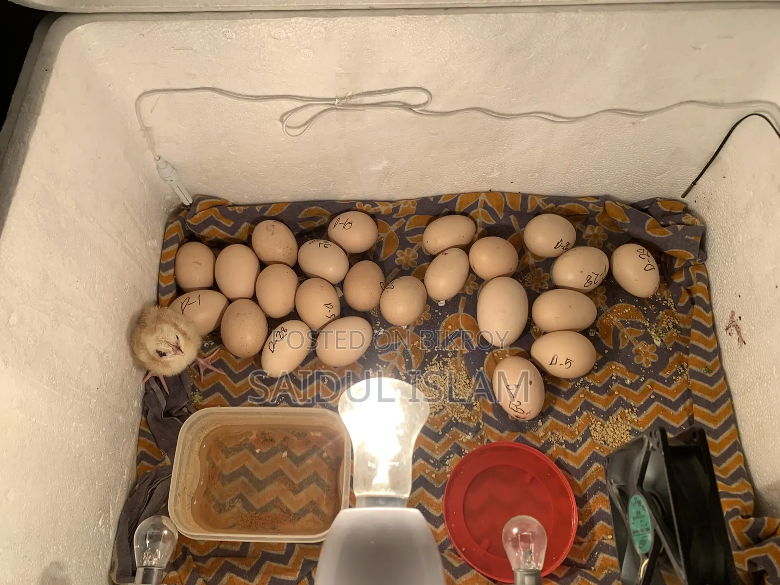 Incubator Machine