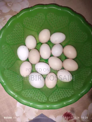 Desi Chicken Eggs