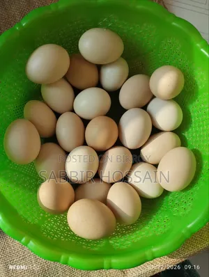 Desi Chicken Eggs