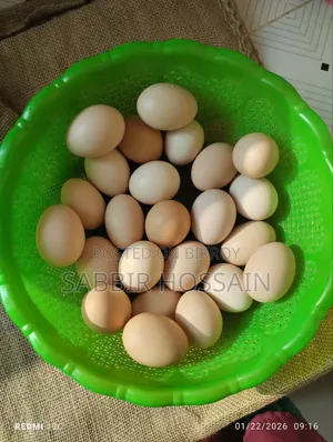 Desi Chicken Eggs