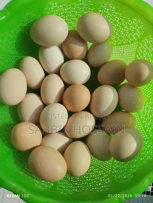 Desi Chicken Eggs