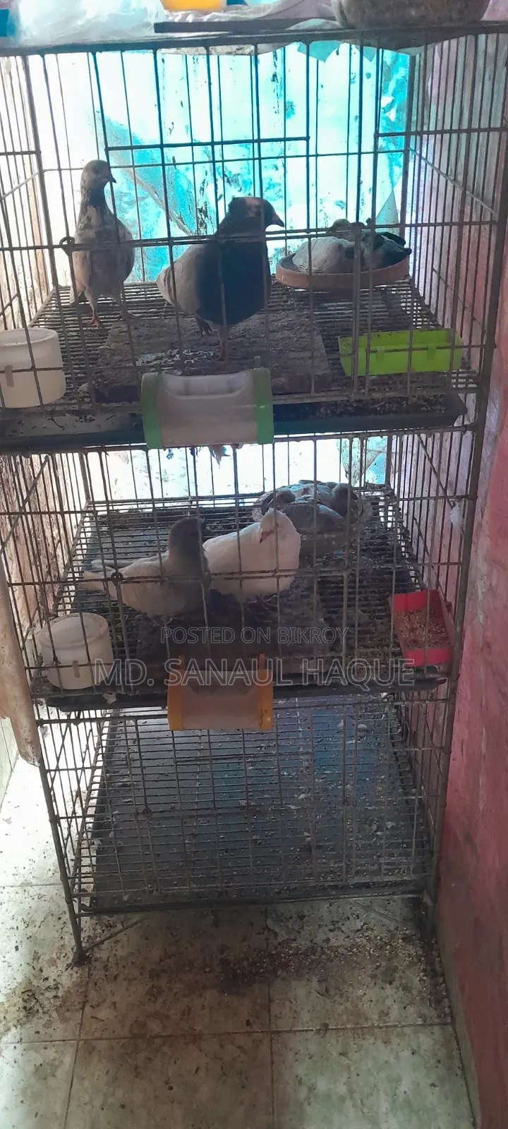 কবুতরের লোহার খাঁচা