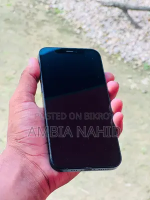 Apple iPhone 12 64 GB Gray