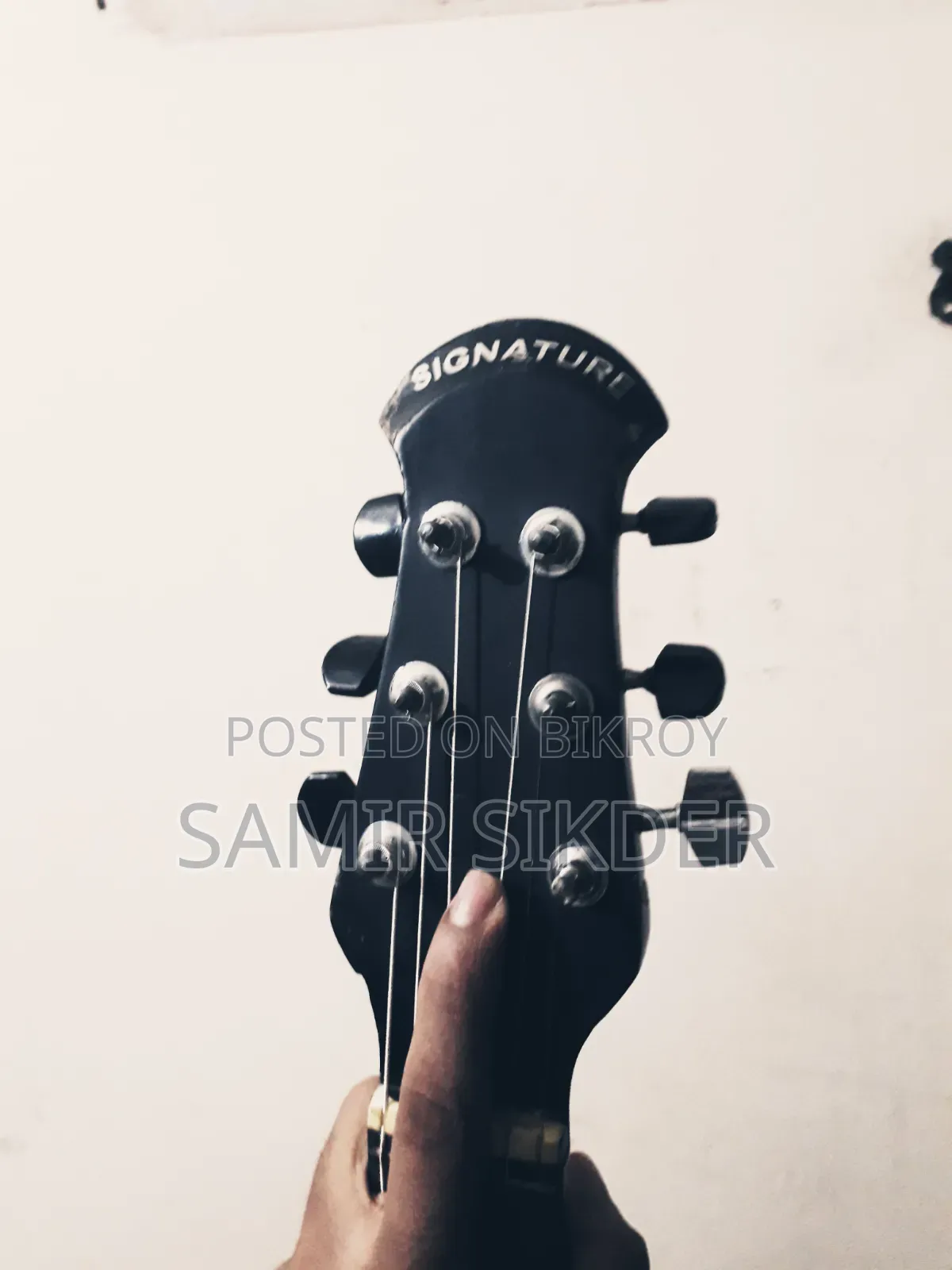 সিগনেচার ২৬৫ গিটার