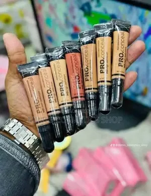 কনসিলার সেড