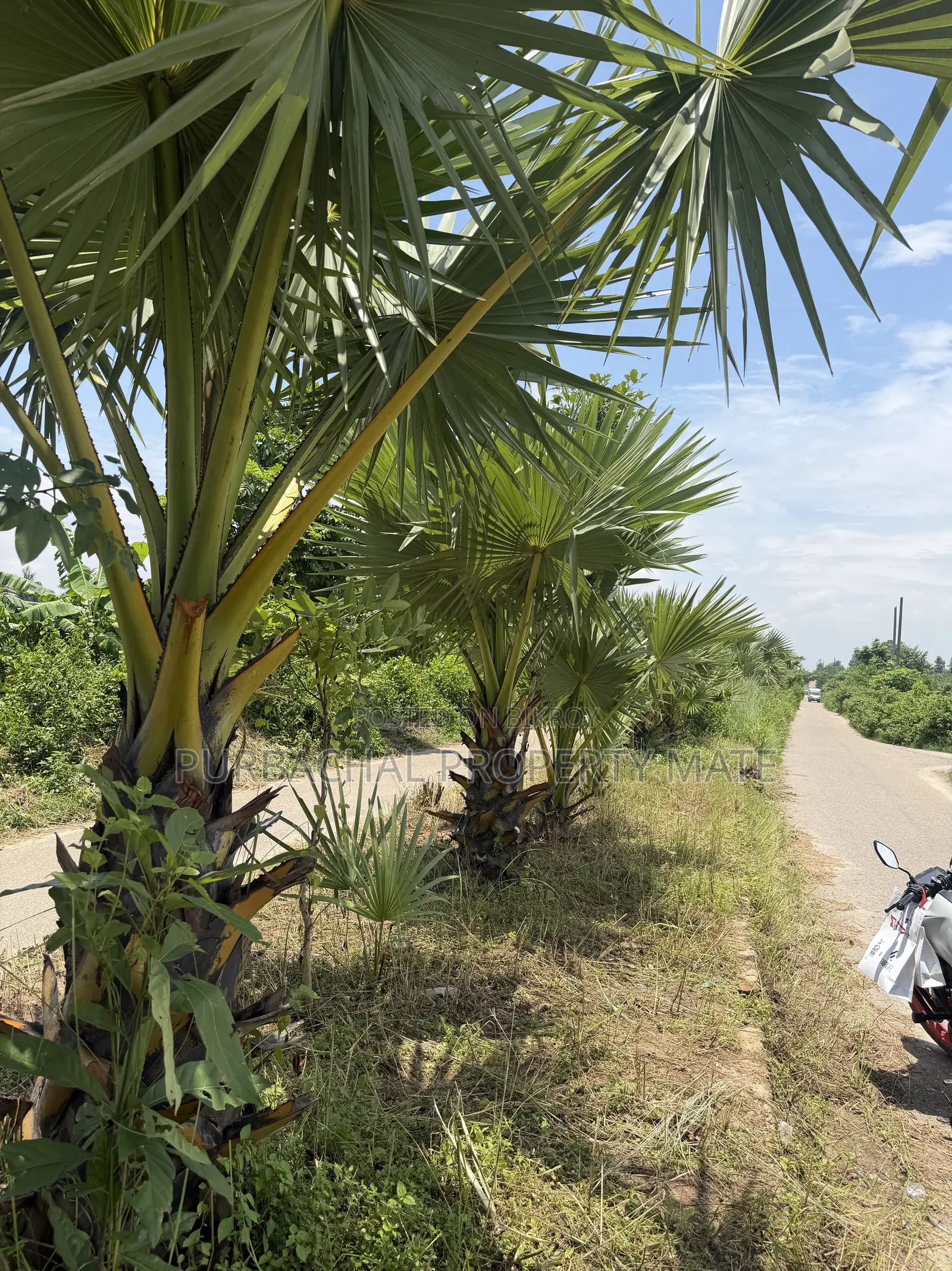 6 Katha South-facing plot for sale near Purbachal 300 feet, 75 feet road.