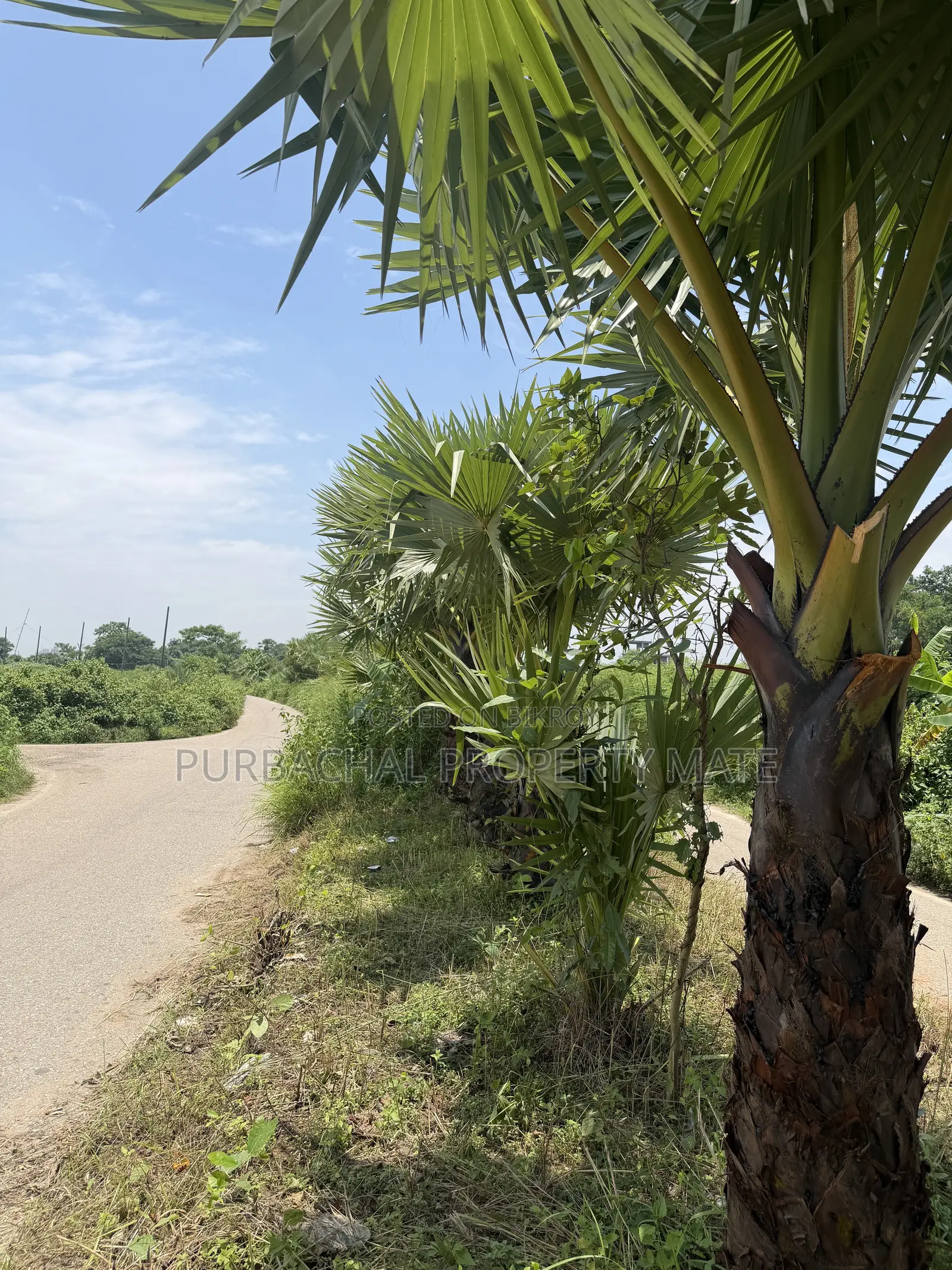6 Katha South-facing plot for sale near Purbachal 300 feet, 75 feet road.