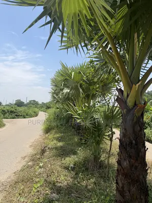 6 Katha South-facing plot for sale near Purbachal 300 feet, 75 feet road.
