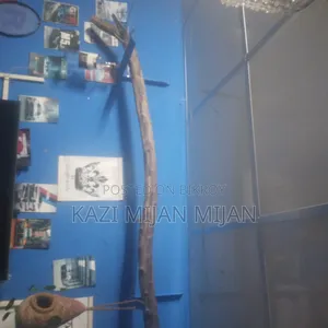 Room Decoration for Wall