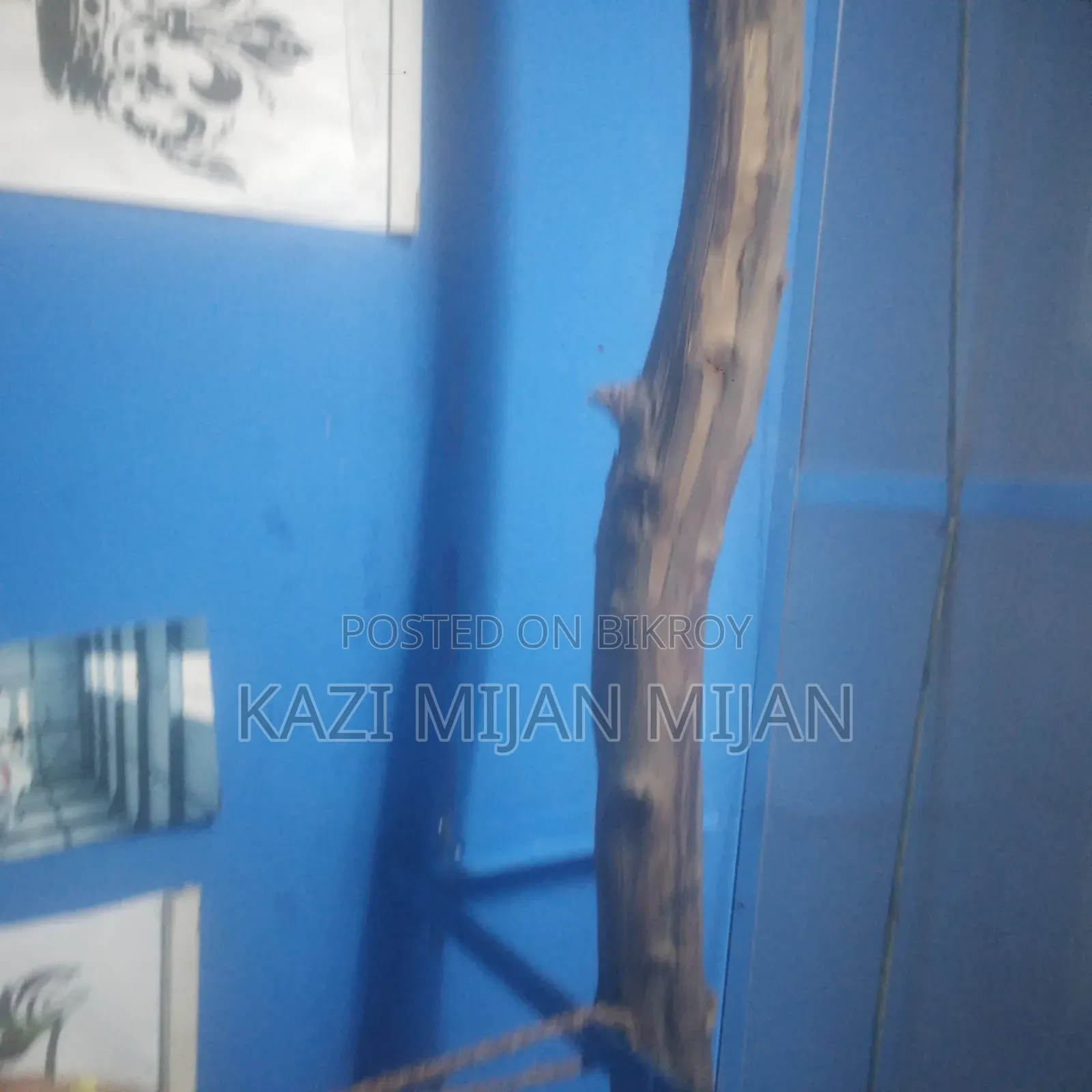 Room Decoration for Wall