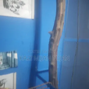 Room Decoration for Wall