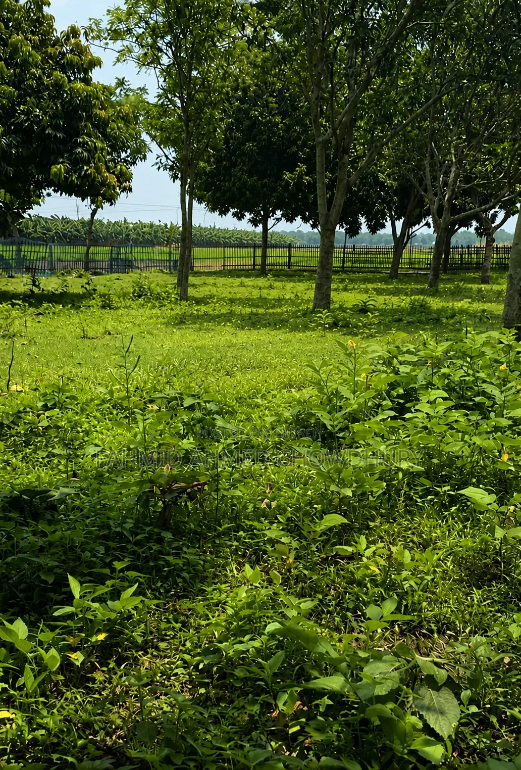 জমি বিক্রয় হবে