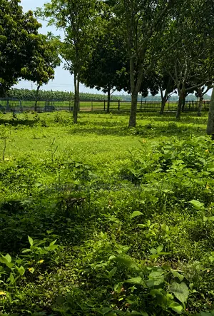 জমি বিক্রয় হবে