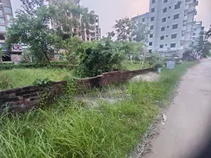K-Block 3 Katha Plot Urgent Sell in Bashundhara R A