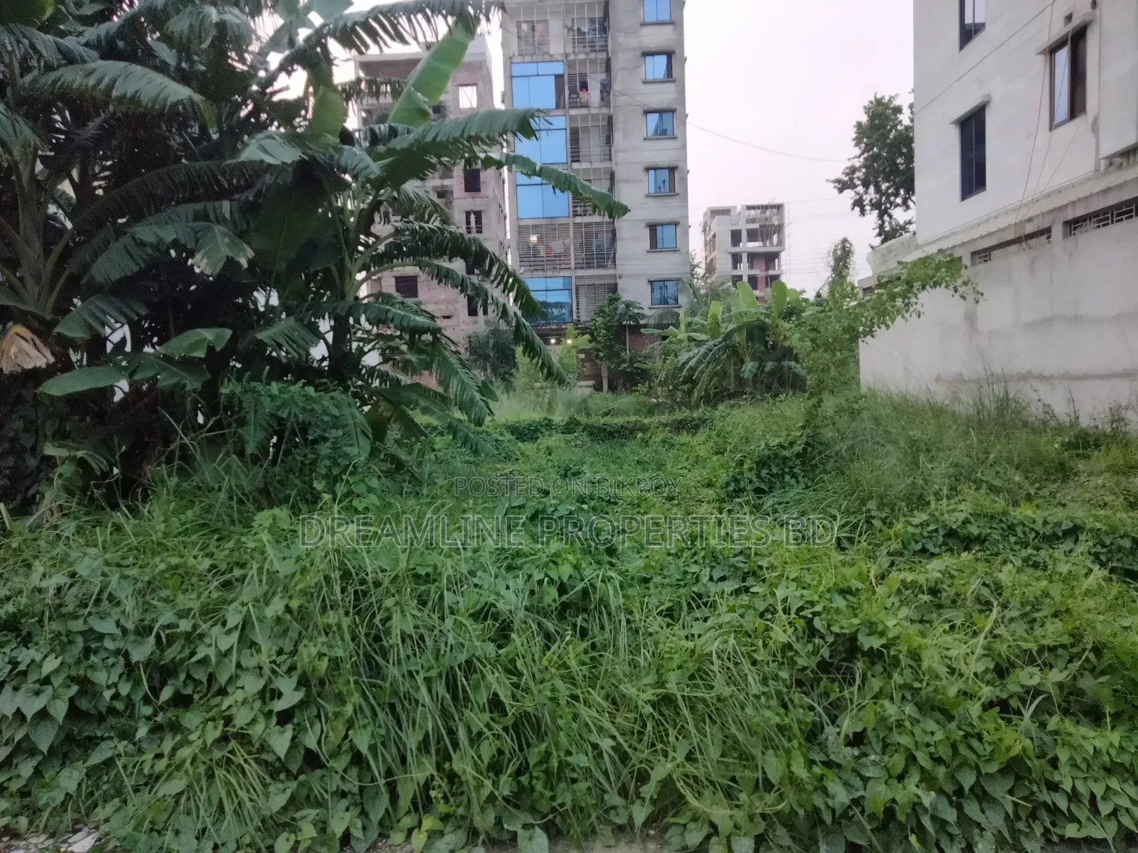 K-Block 3 Katha Plot Urgent Sell in Bashundhara R A