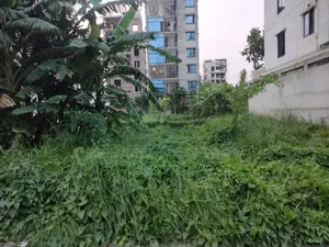K-Block 3 Katha Plot Urgent Sell in Bashundhara R A