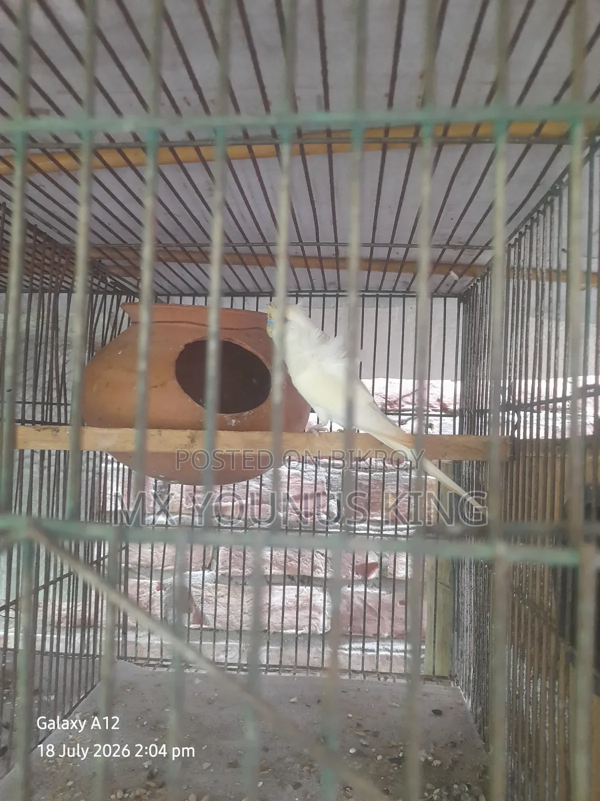 জেপি ১ পিস মেল