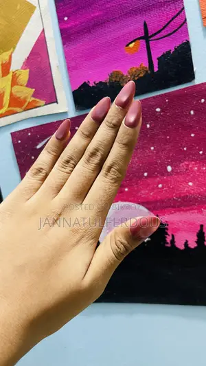 Cat Eye Press-on Nails
