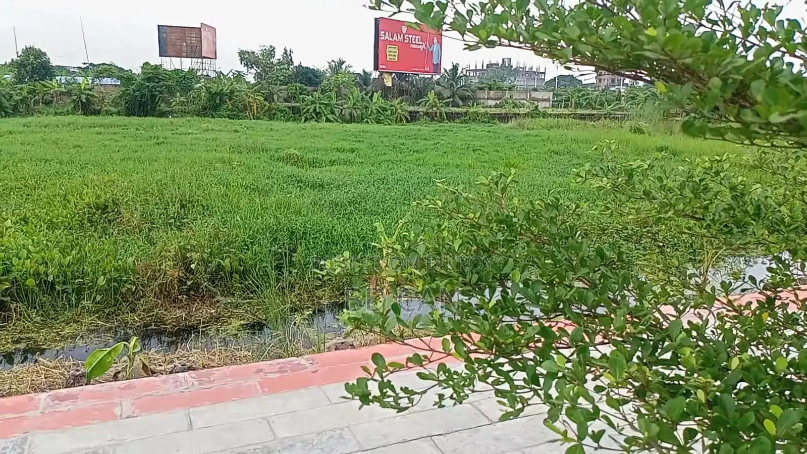 পূর্বাচল ৩০০ ফিটে | অনেক কম দামে ৩ কাঠা প্রাইম জমি বিক্রয় |