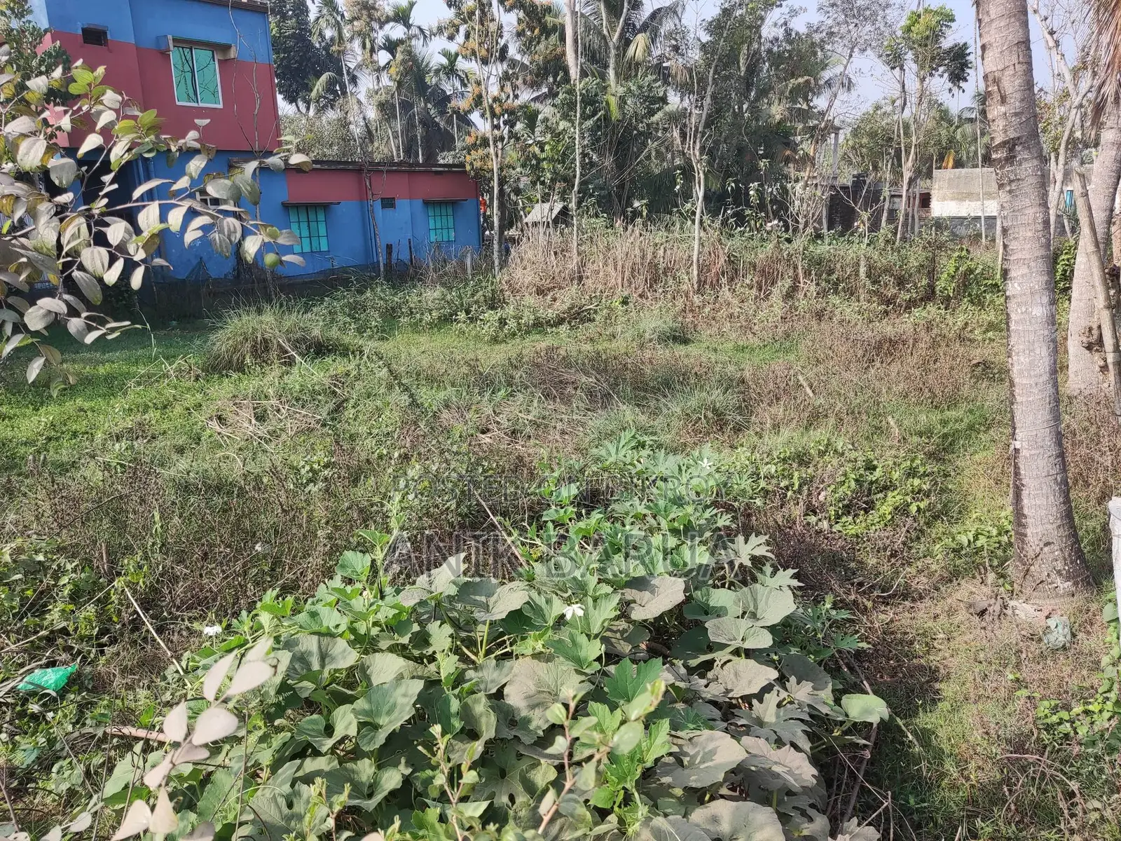 8.5 Decimal Corner Plot Near Khulna Zero Point | 30ft Paved Road