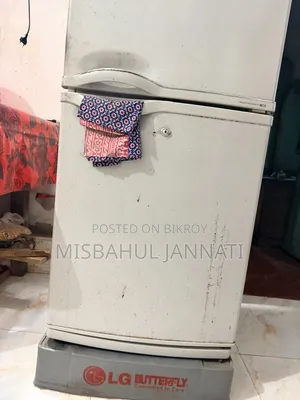 LG Fridge Use