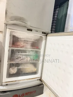LG Fridge Use