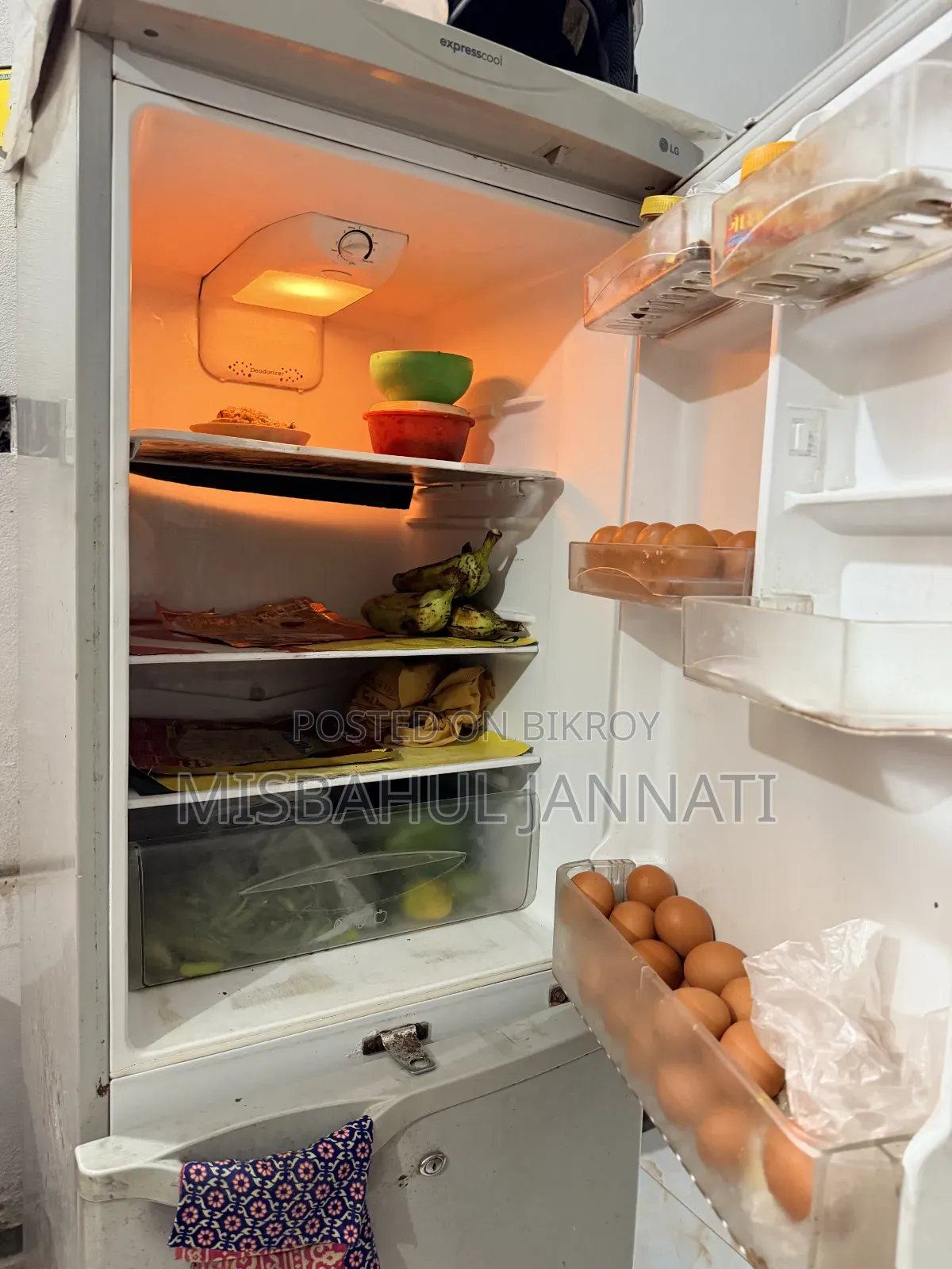 LG Fridge Use