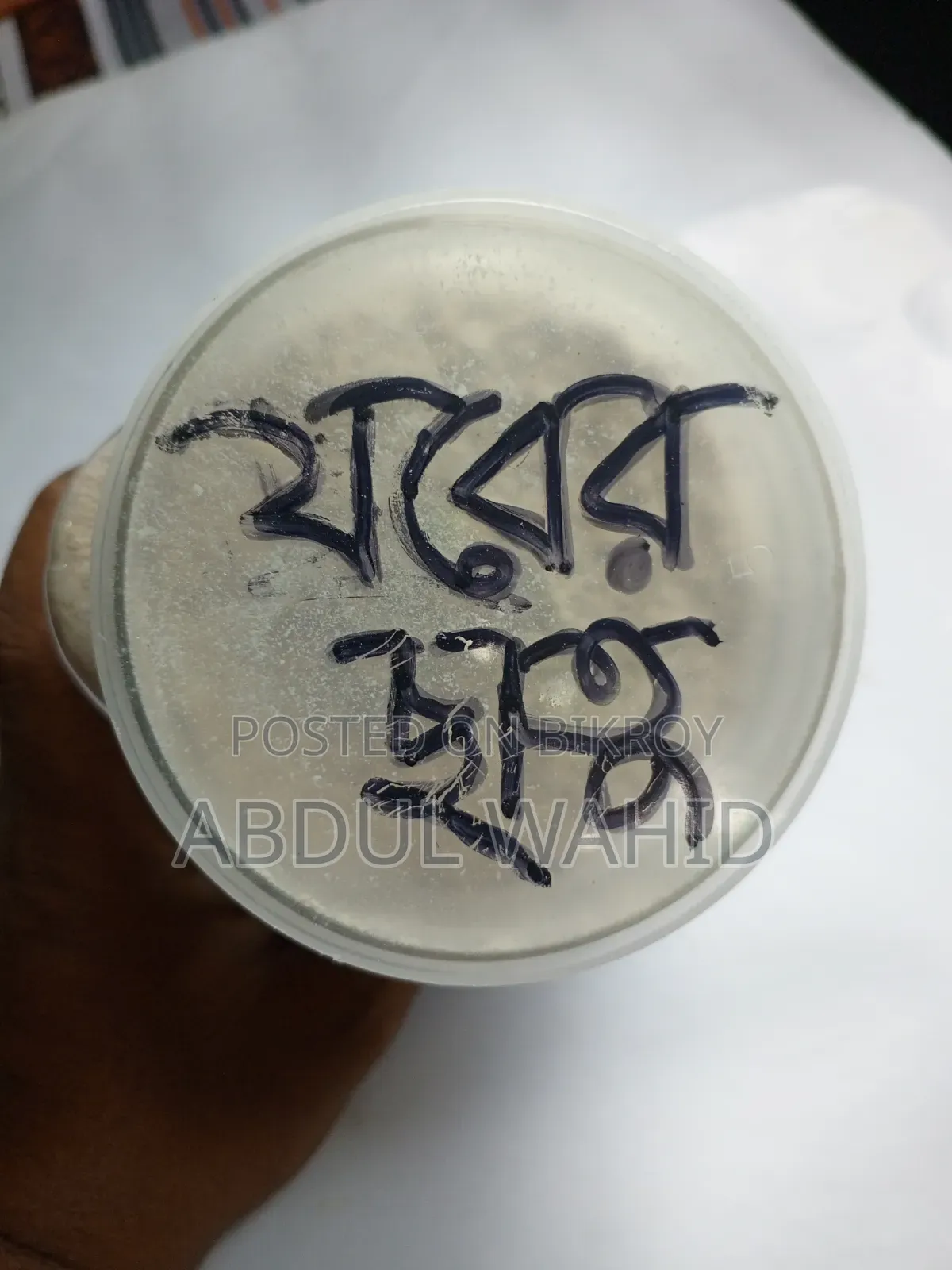 Pure Barley Flour