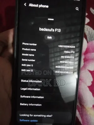 Samsung Galaxy F13 64 GB Blue