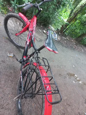 Bicycle all okay