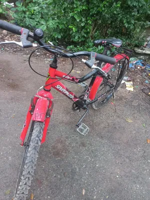 Bicycle all okay