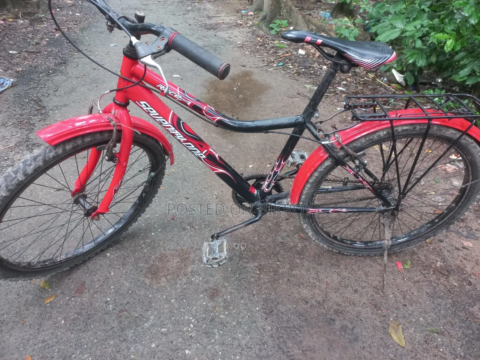 Bicycle all okay