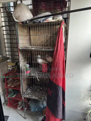 Cage Will Be Sold