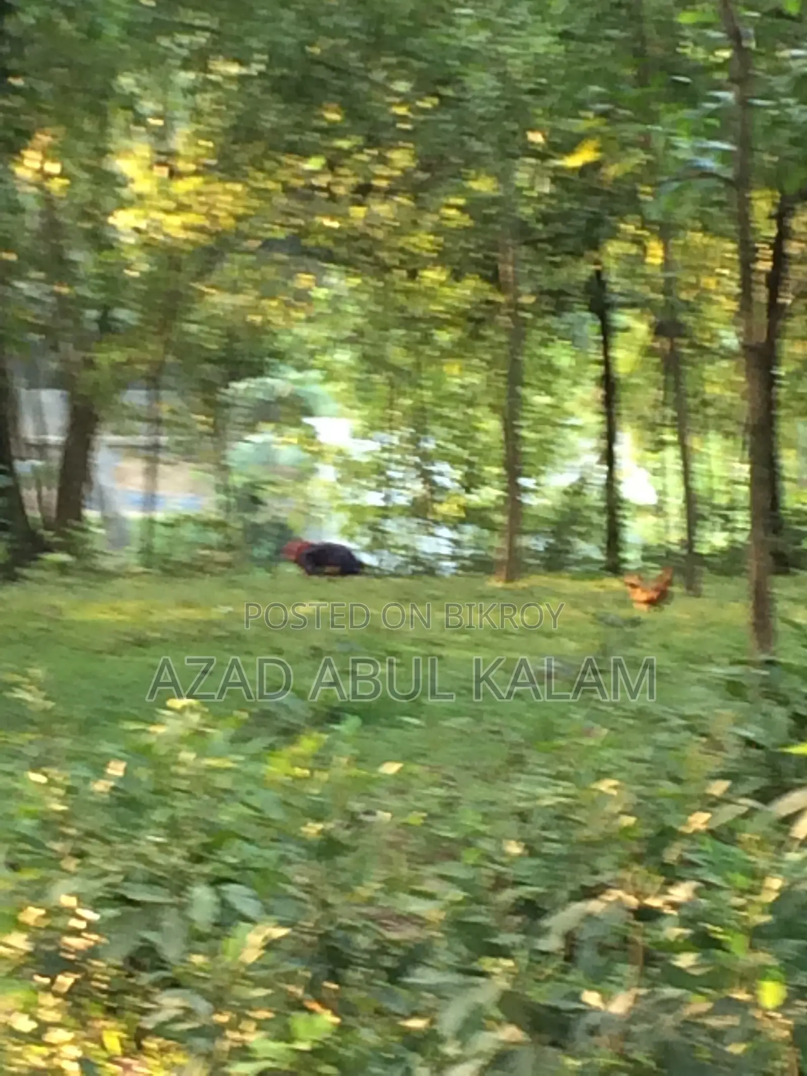গার্ডেন হোম বা বাংলো তৈরির জন্য জমি বিক্রয়